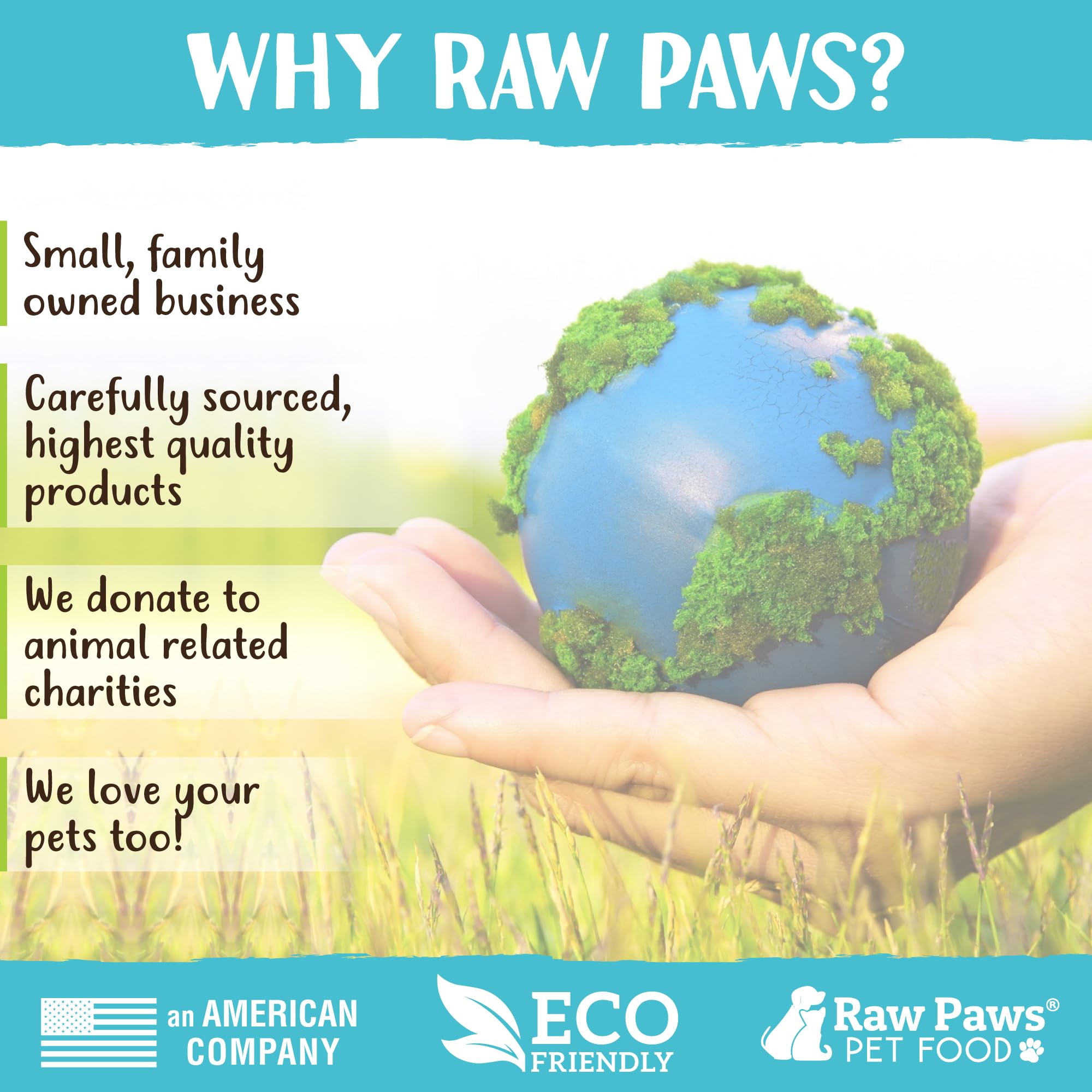 Raw Paws chat jouant au salon illustrant stimulation naturelle