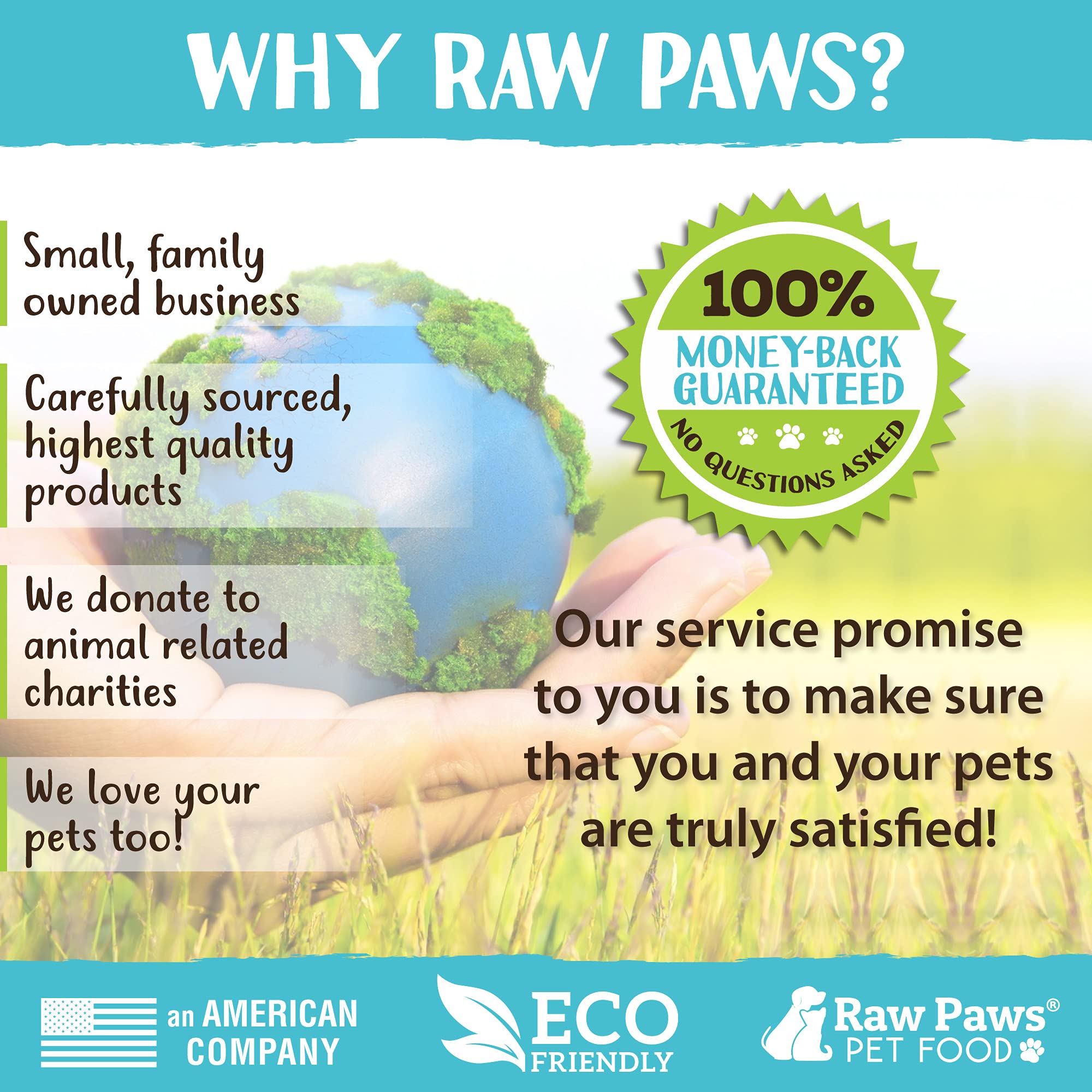 Raw Paws scène domestique chat jouant attiré par la silvervine pour plus d’activité