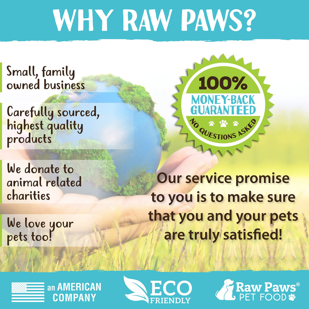 Raw Paws scène domestique chat jouant attiré par la silvervine pour plus d’activité