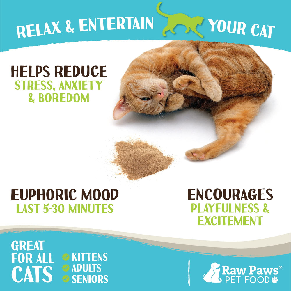 Raw Paws poudre saupoudrée sur jouet montrant l’attraction et l’engagement du chat