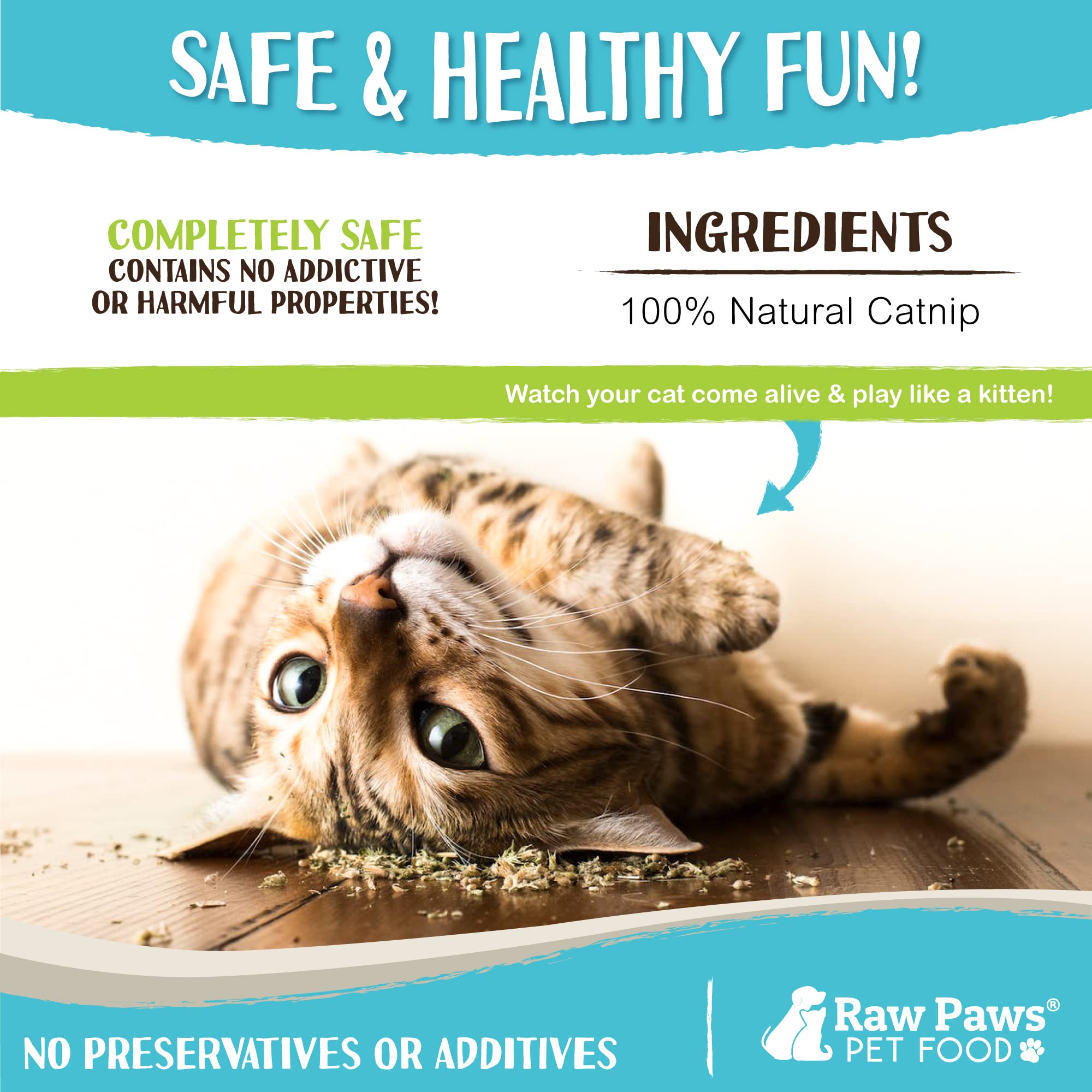 Raw Paws action de remplir un jouet pour amusement durable