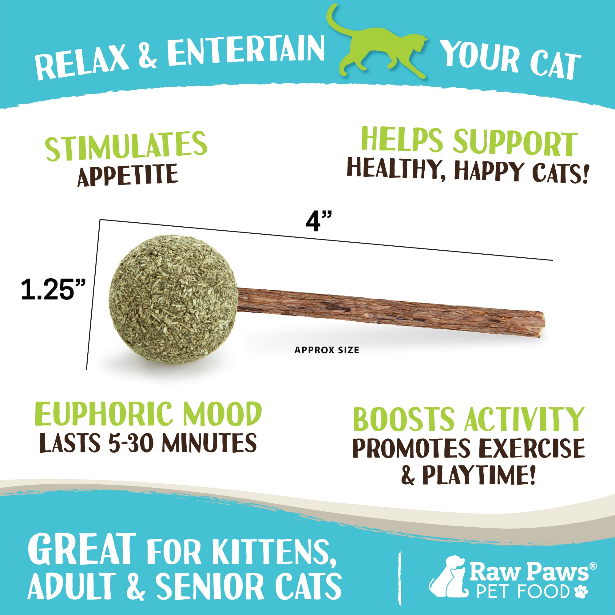 Raw Paws chat jouant avec sucette stimulant l’activité