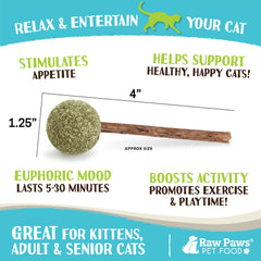 Raw Paws chat jouant avec sucette stimulant l’activité