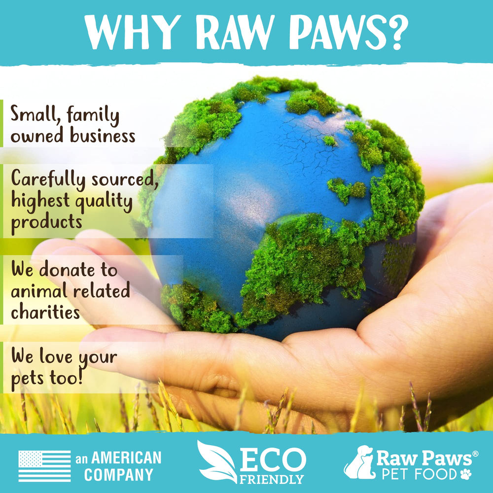 Raw Paws mise en scène intérieur réduisant ennui du chat