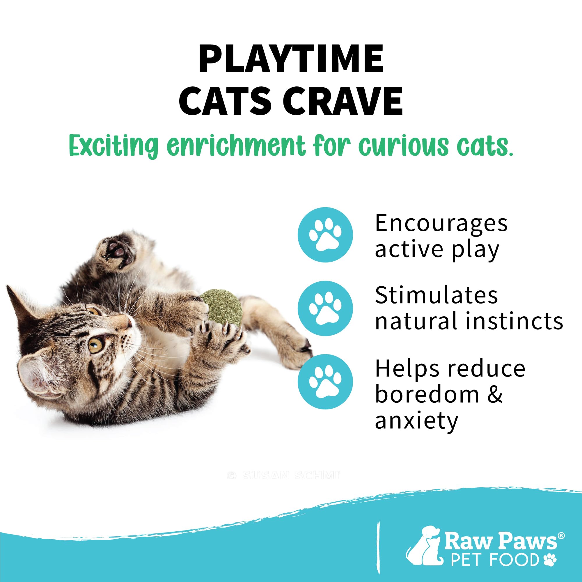 Raw Paws texture gros plan de la boule de cataire montrant la structure compacte et la pureté