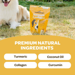 Ready Pet Go! gros plan sur la texture de la pastille, appétence optimisée
