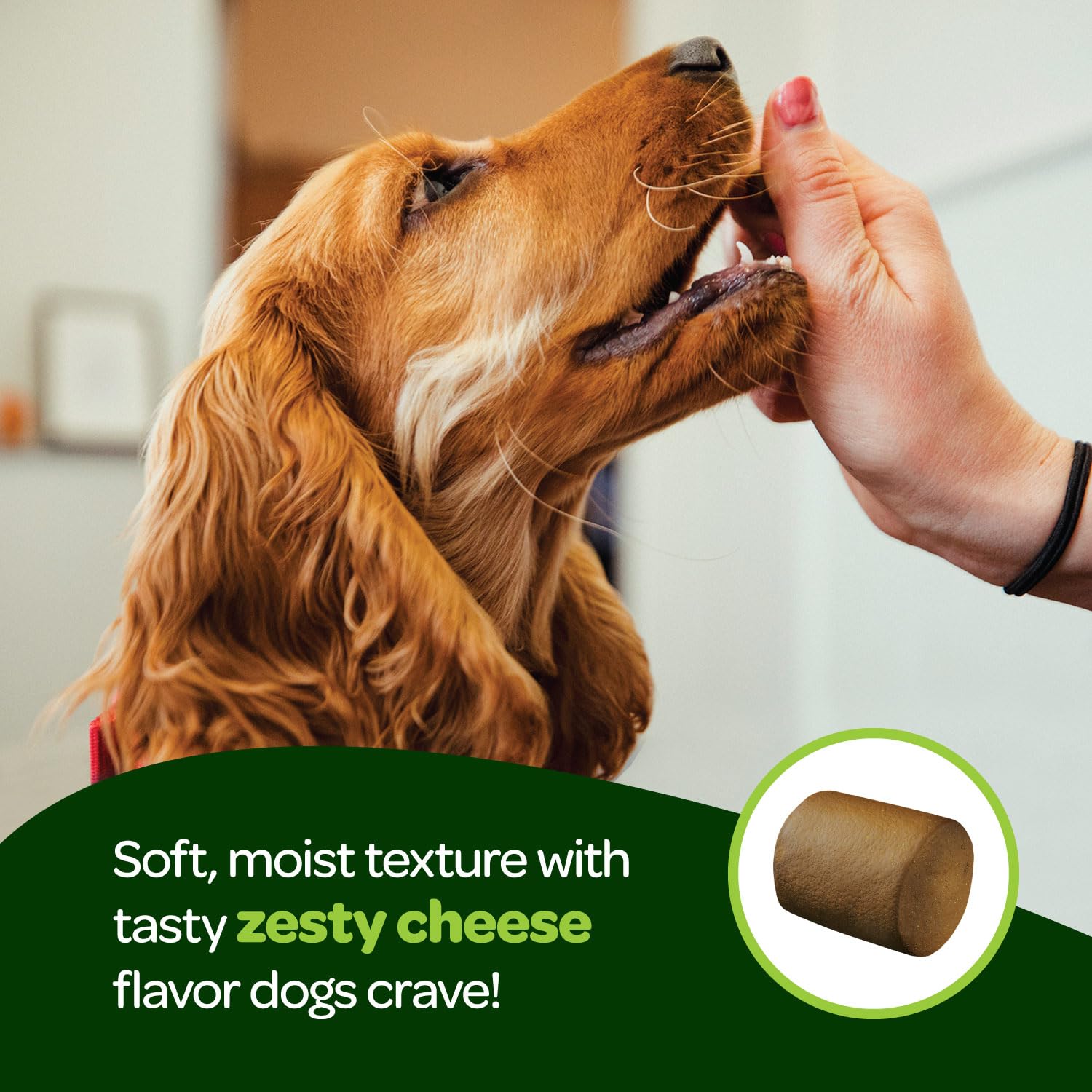 Potiron frais à côté d'une pastille Ready Pet Go!, bénéfice fibres naturelles pour régularité