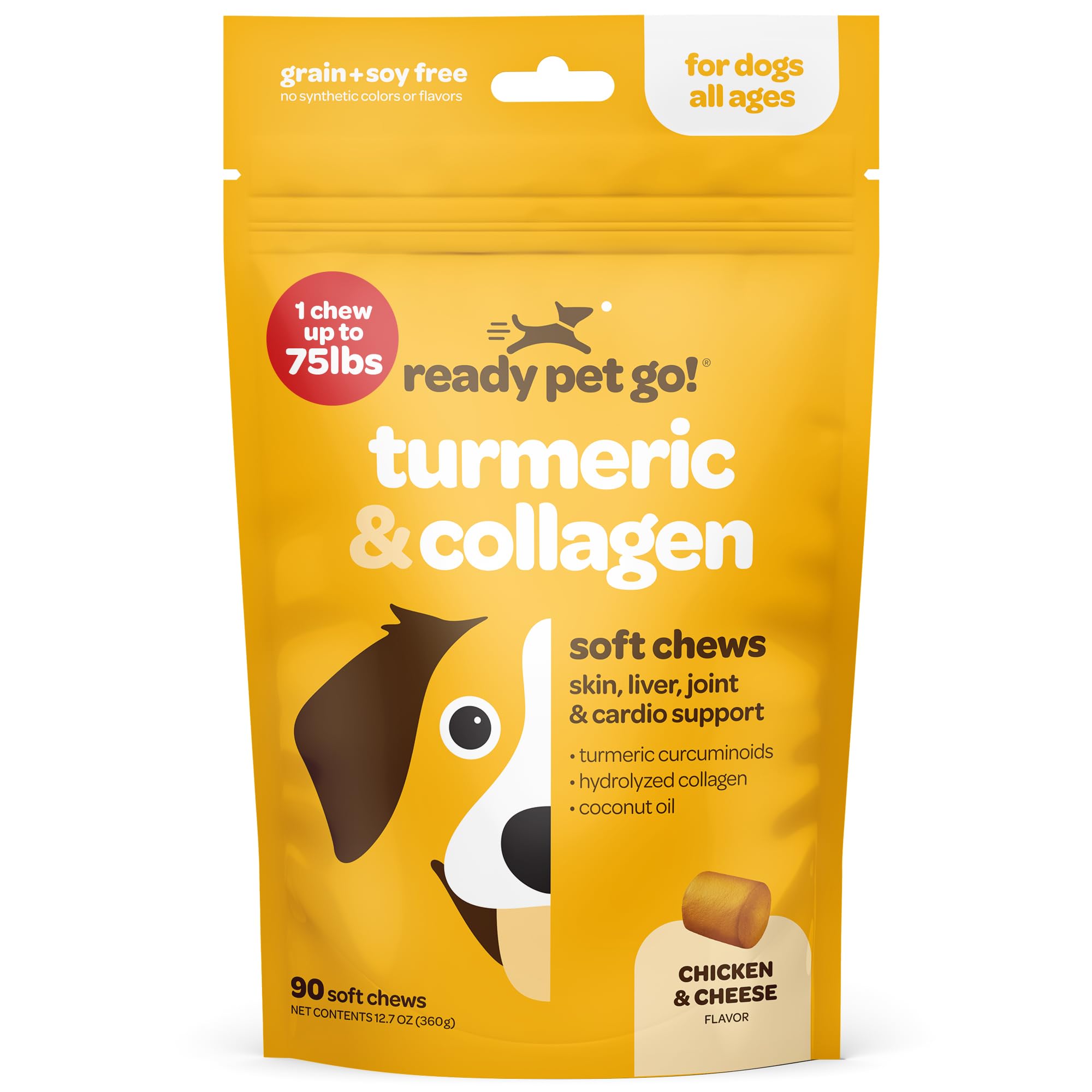 Ready Pet Go! chien joueur après prise, soutien mobilité quotidien