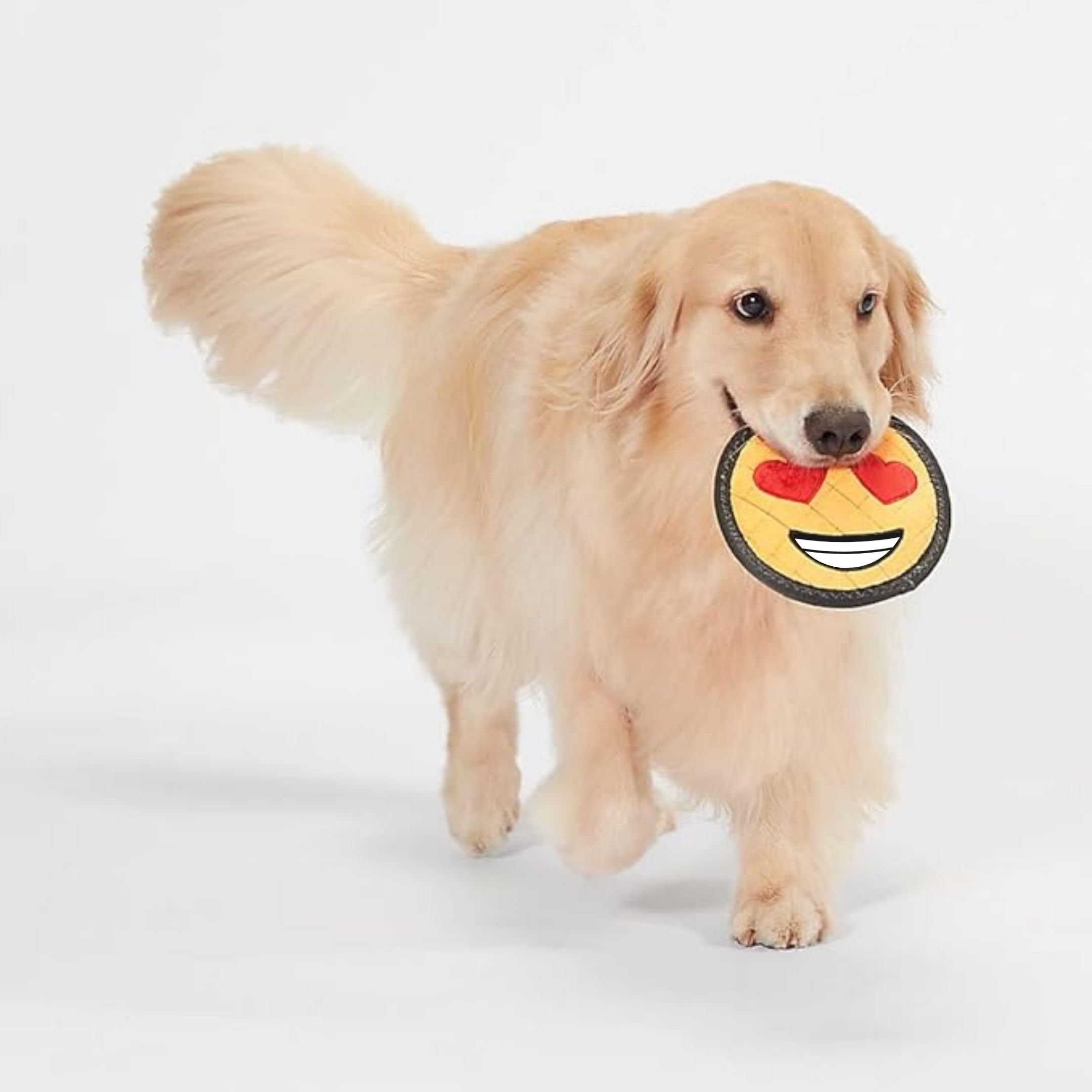 ReadyHound en usage par chien actif illustrant stimulation et jeu prolongé