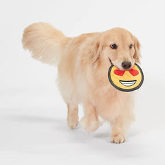 ReadyHound en usage par chien actif illustrant stimulation et jeu prolongé