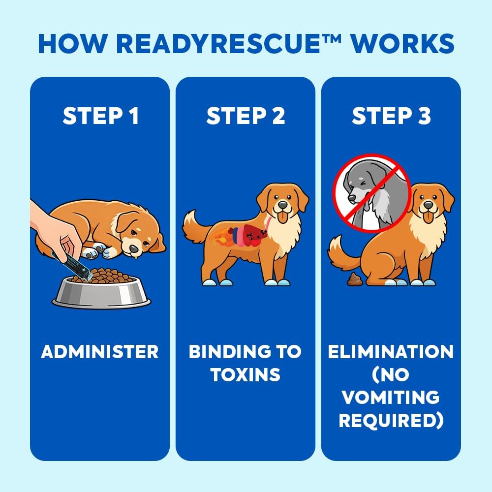 READYRESCUE comparaison taille main illustrant le format compact et transportable