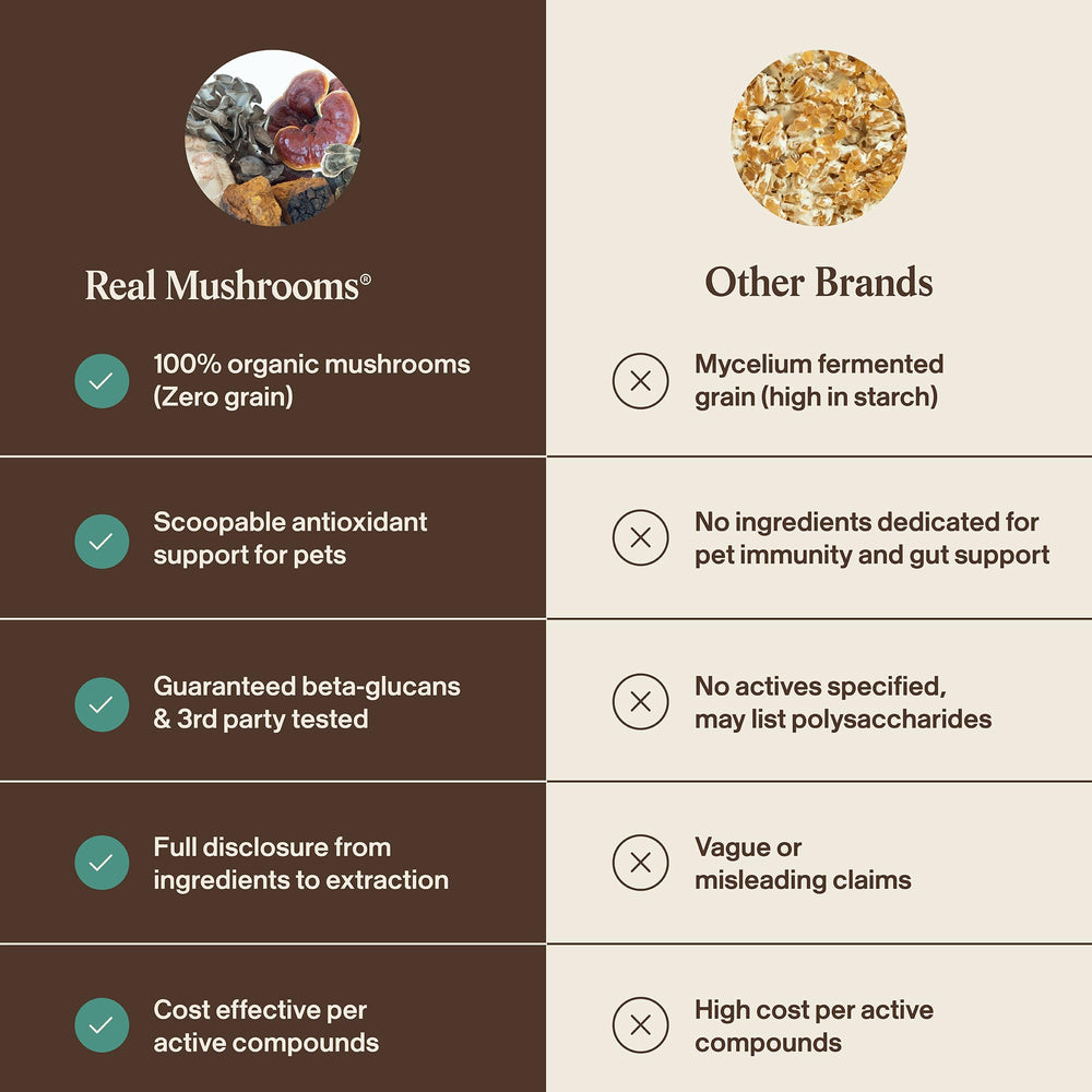 Real Mushrooms mélangé aux croquettes montrant intégration facile au repas