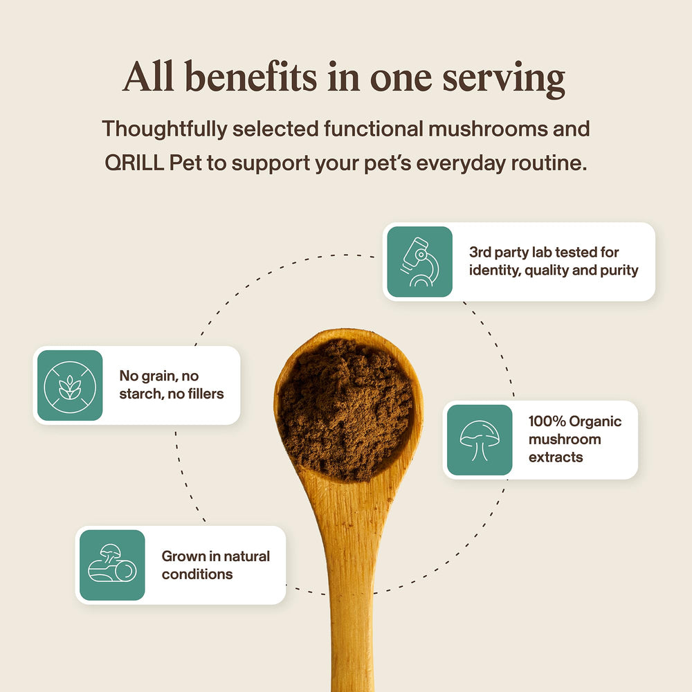 Real Mushrooms comparaison de taille 75 g pour évaluer durée d'utilisation