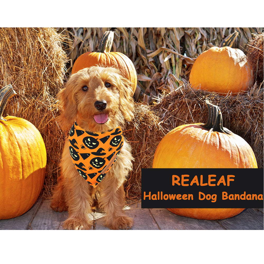 Chien portant Realeaf bandana Halloween en extérieur, confort et style visibles