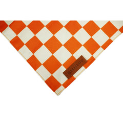 Realeaf bandana porté par grand chien confort et style extérieur