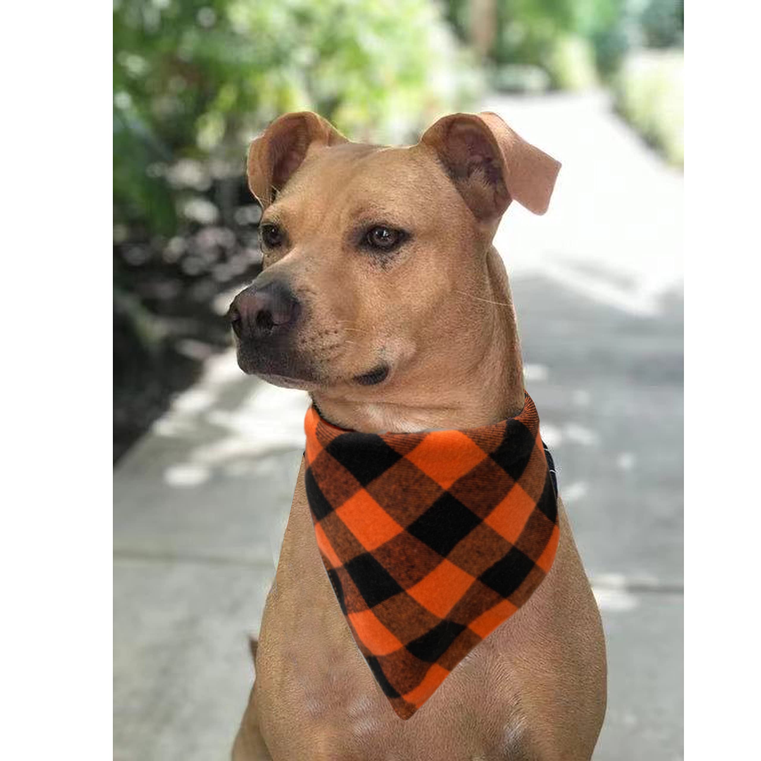 Realeaf bandana en décor de Thanksgiving montrant élégance saisonnière