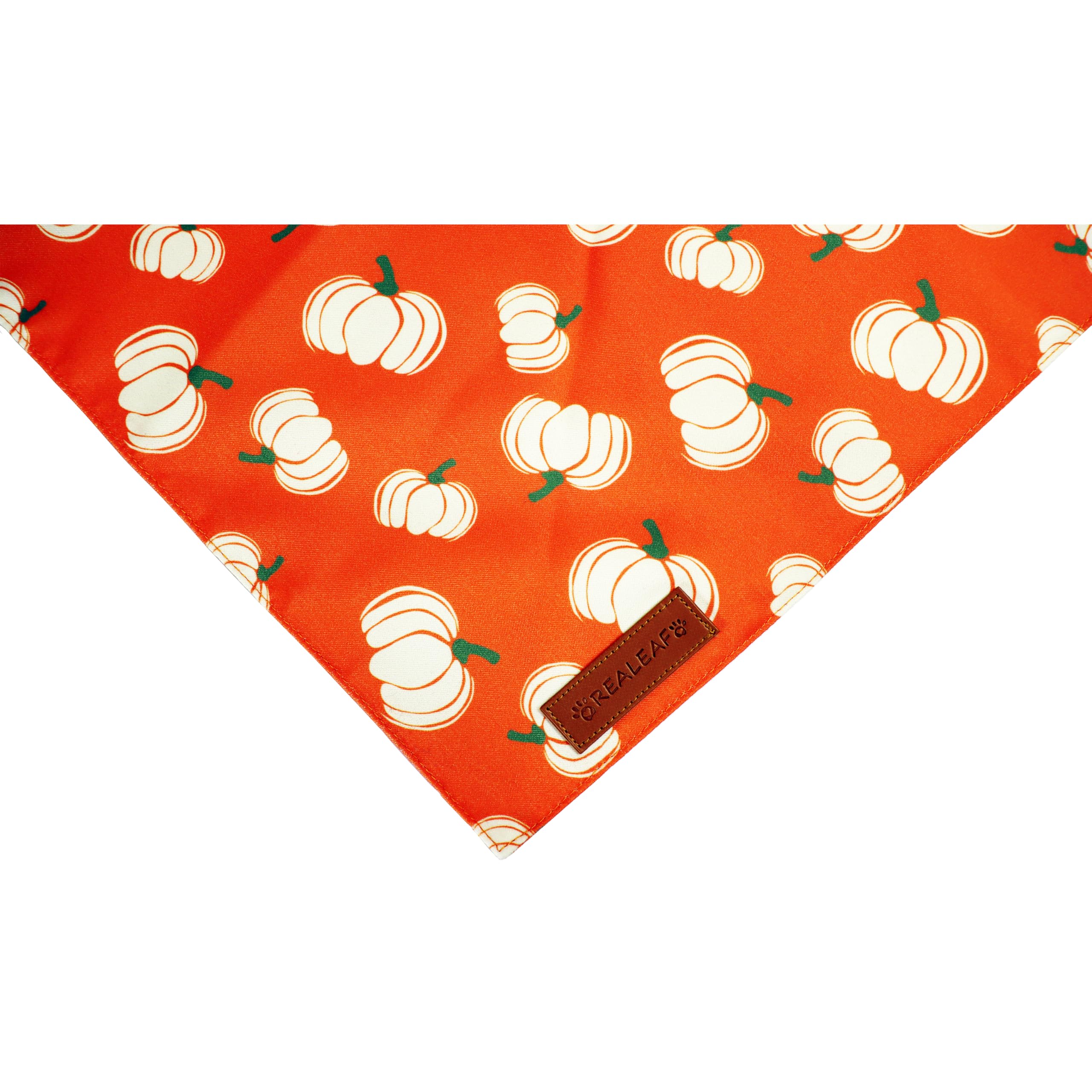 Realeaf petit chien portant bandana montrant maintien et esthétique