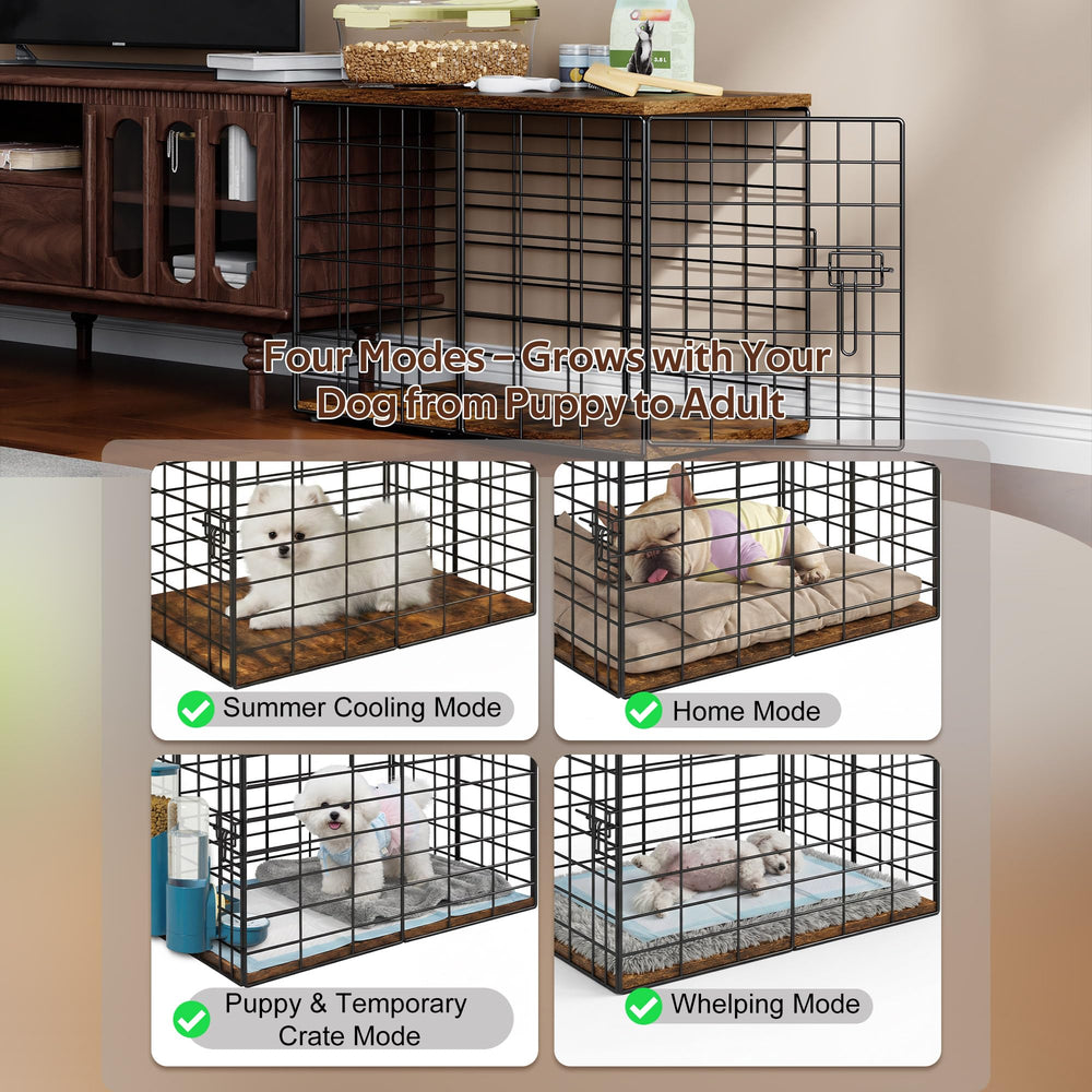 rechgosh comparaison taille montrant proportions pour chiens très petits