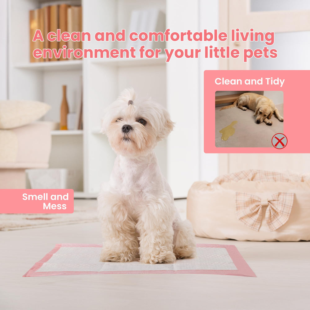Red Rabbits tapis en usage avec chiot, protège la maison proprement