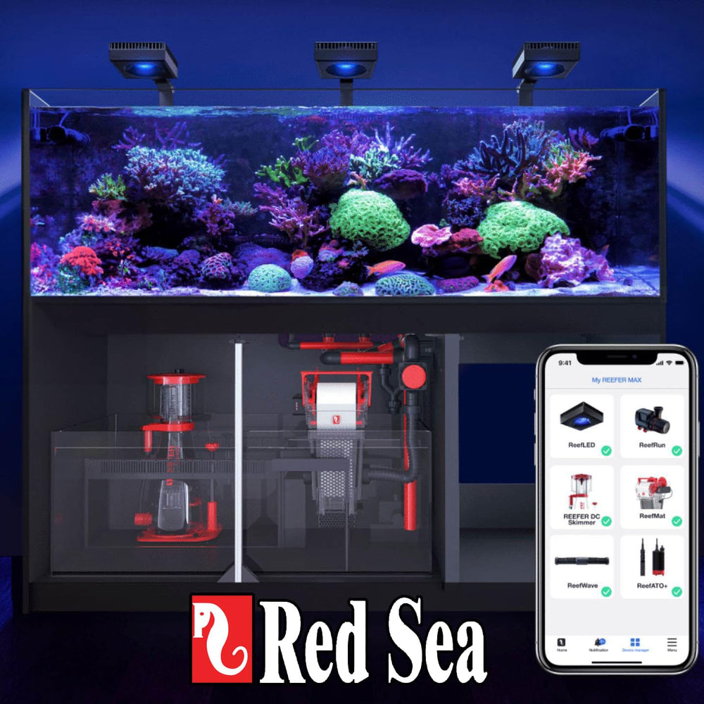 Red Sea comparaison taille flacon 500 ml pour repère d'échelle