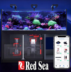 Red Sea mesure Dosage Coral Pro cuillère graduée pour préparation précise
