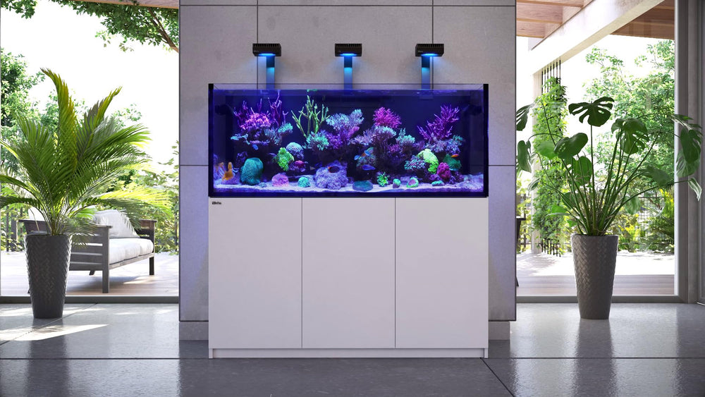 Red Sea texture liquide montrant concentration stable pour aquarium