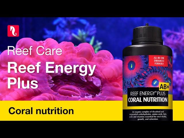 Red Sea liquide en gros plan montrant texture assimilable par coraux