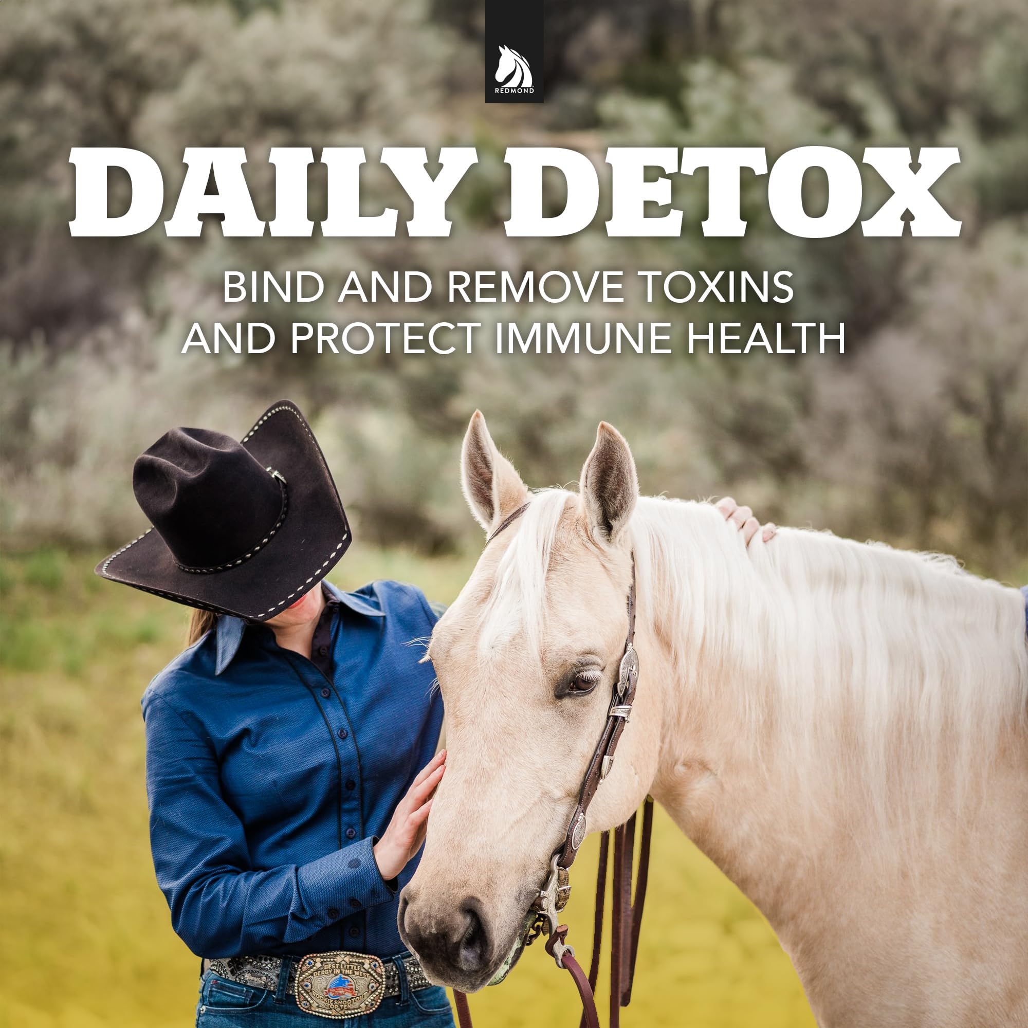 REDMOND Daily Gold présenté près d'un cheval en prairies, soutien digestif naturel