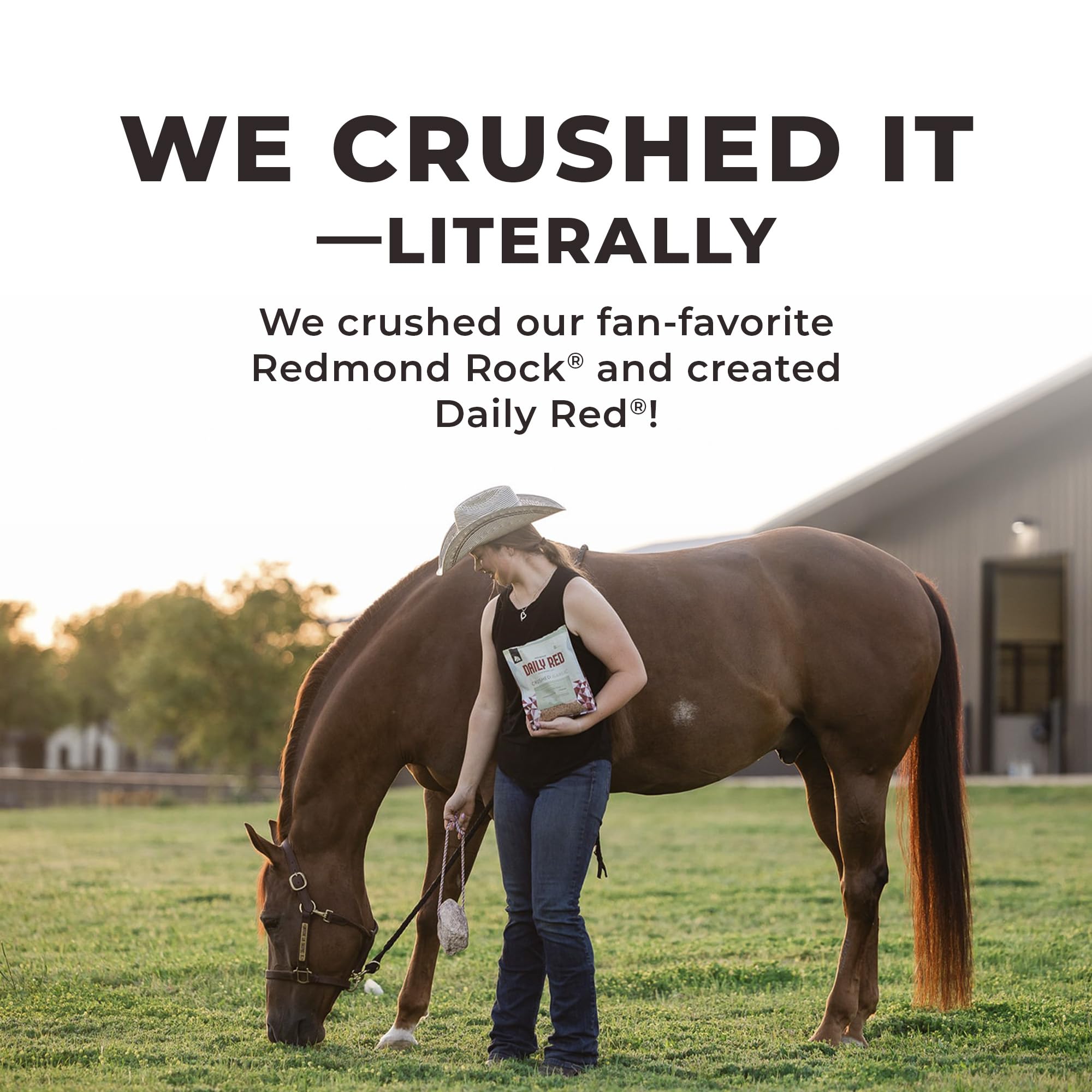 REDMOND cheval consommant Daily RED Crushed démontrant acceptation alimentaire