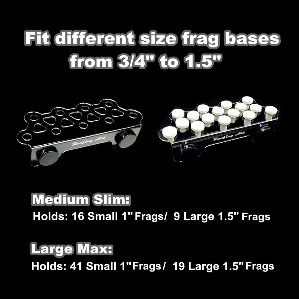 Reefing Art support installé sur aquarium, maintien stable des frags et présentation soignée