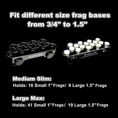 Reefing Art support installé sur aquarium, maintien stable des frags et présentation soignée
