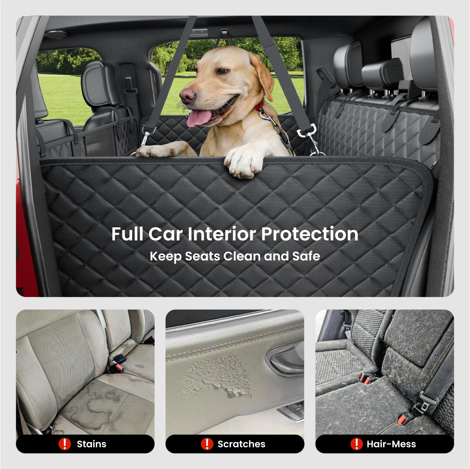 REEVAA comparaison échelle avec grand chien montrant espace XL disponible