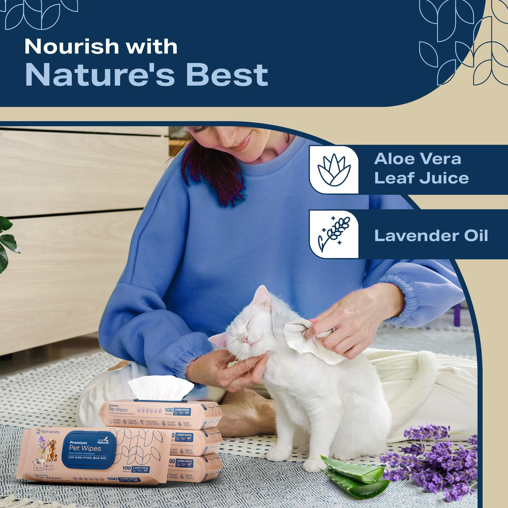 REFRESHIFY étiquette ingrédients naturels mettant en avant aloe et avocat
