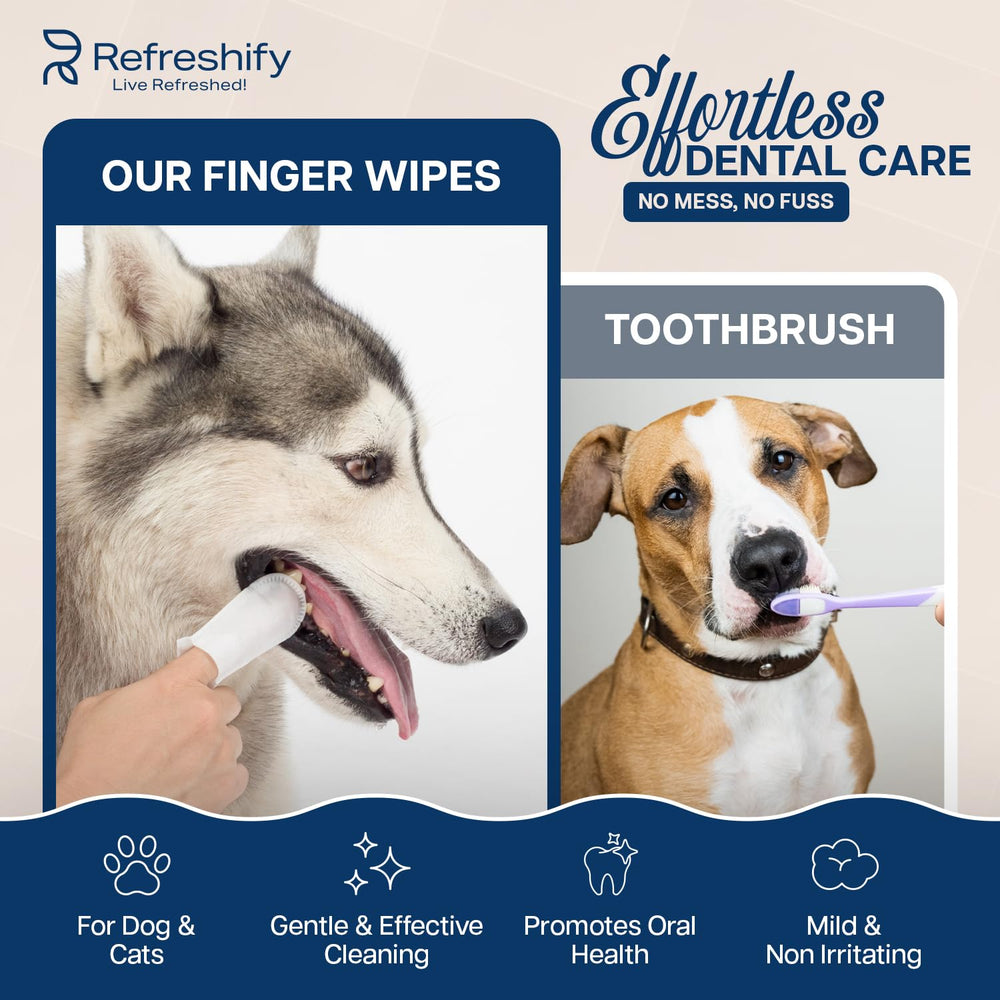 REFRESHIFY application sur chien démontrant contrôle facile et confort