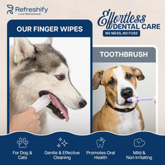 REFRESHIFY application sur chien démontrant contrôle facile et confort
