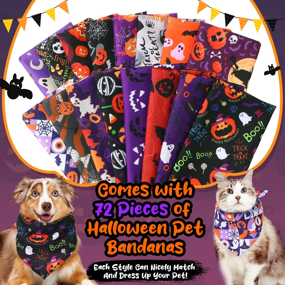 Reginary chien portant un bandana dehors, visuel utile pour promenades festives