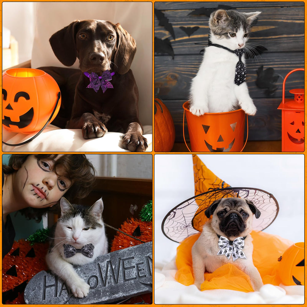 Reginary chiot portant collier Halloween, look photogénique et sûr