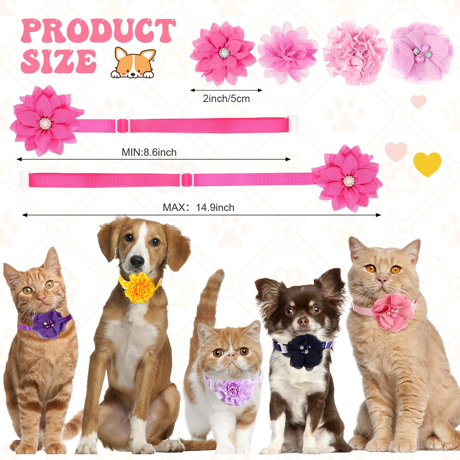 Ensemble Reginary de colliers colorés prêt à assortir plusieurs animaux