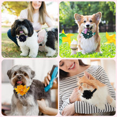 Chien portant Reginary collier fleuri montrant style élégant instantané
