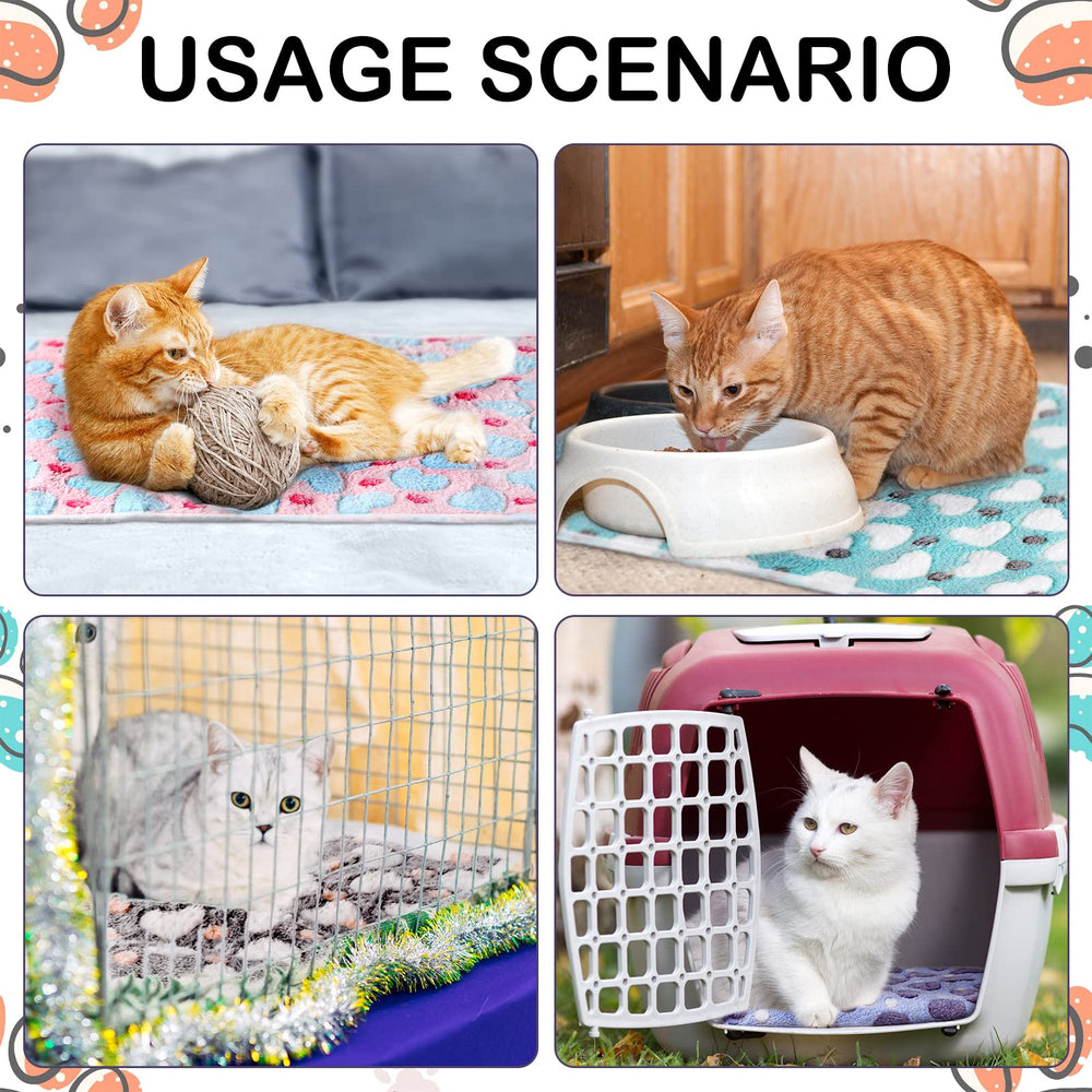 Reginary comparaison taille montre 24x16 pouces pratique pour petites cages