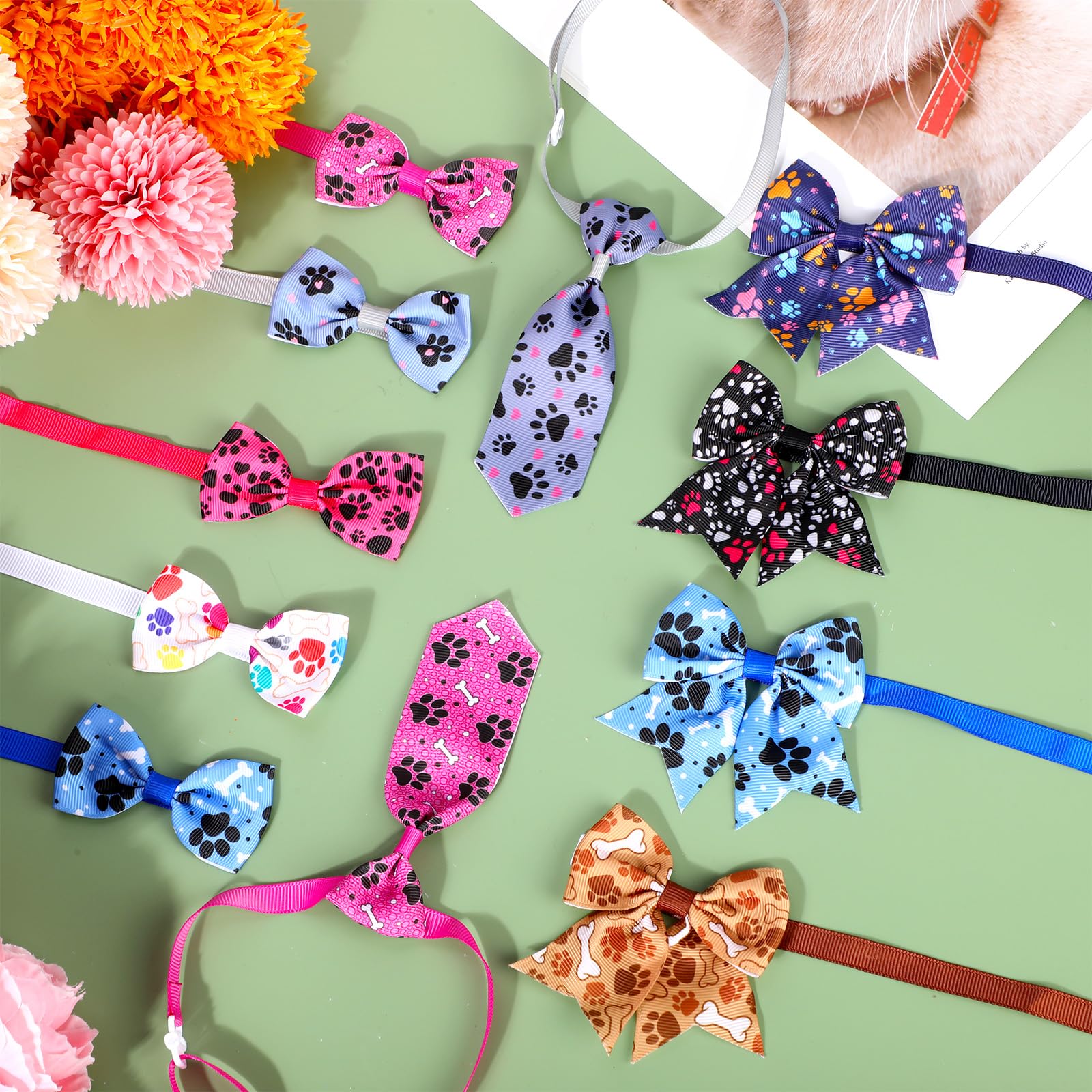 Chien en promenade portant accessoire Reginary, style visible et durable