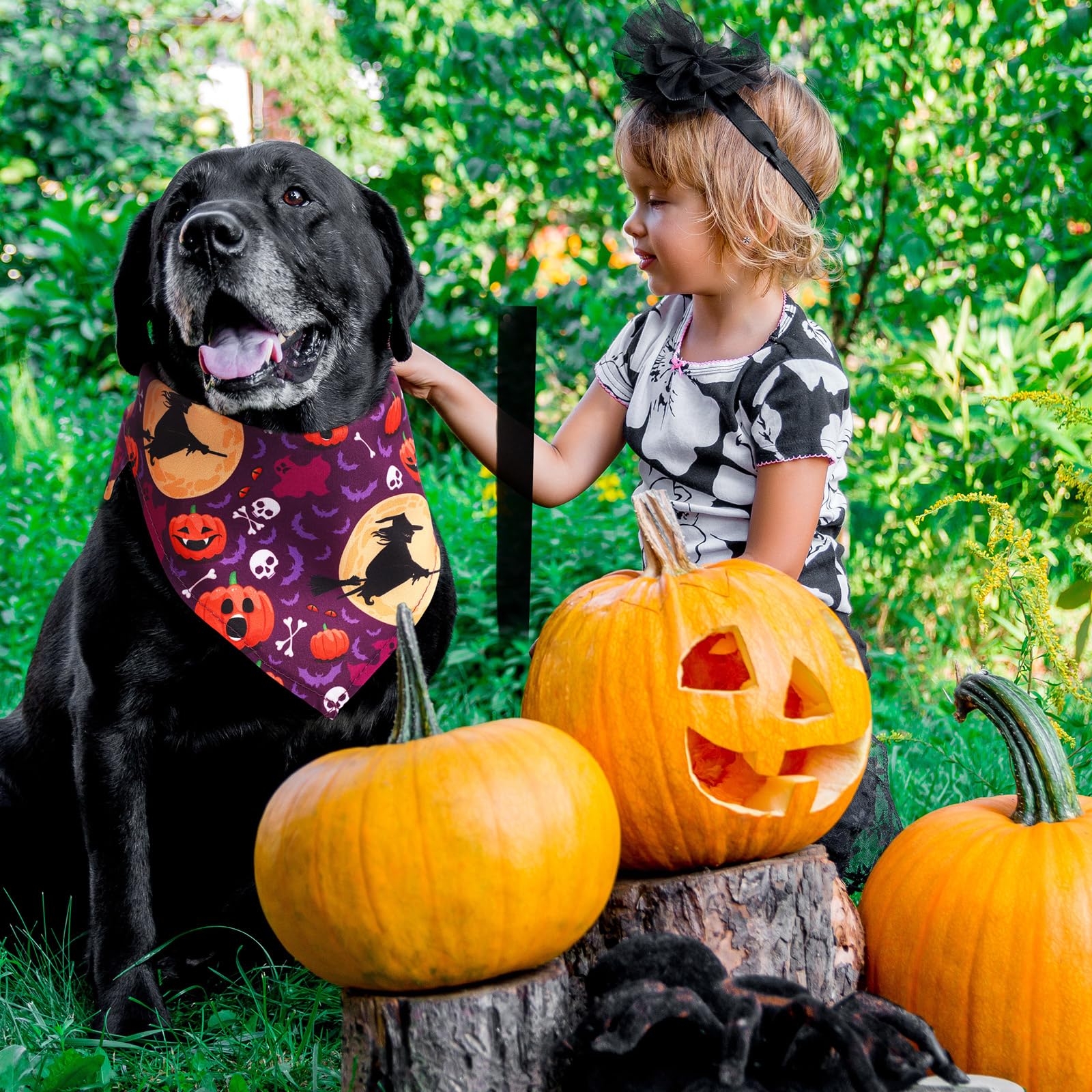 Reginary plusieurs bandanas disposés en mise en scène festive, parfait pour cadeaux