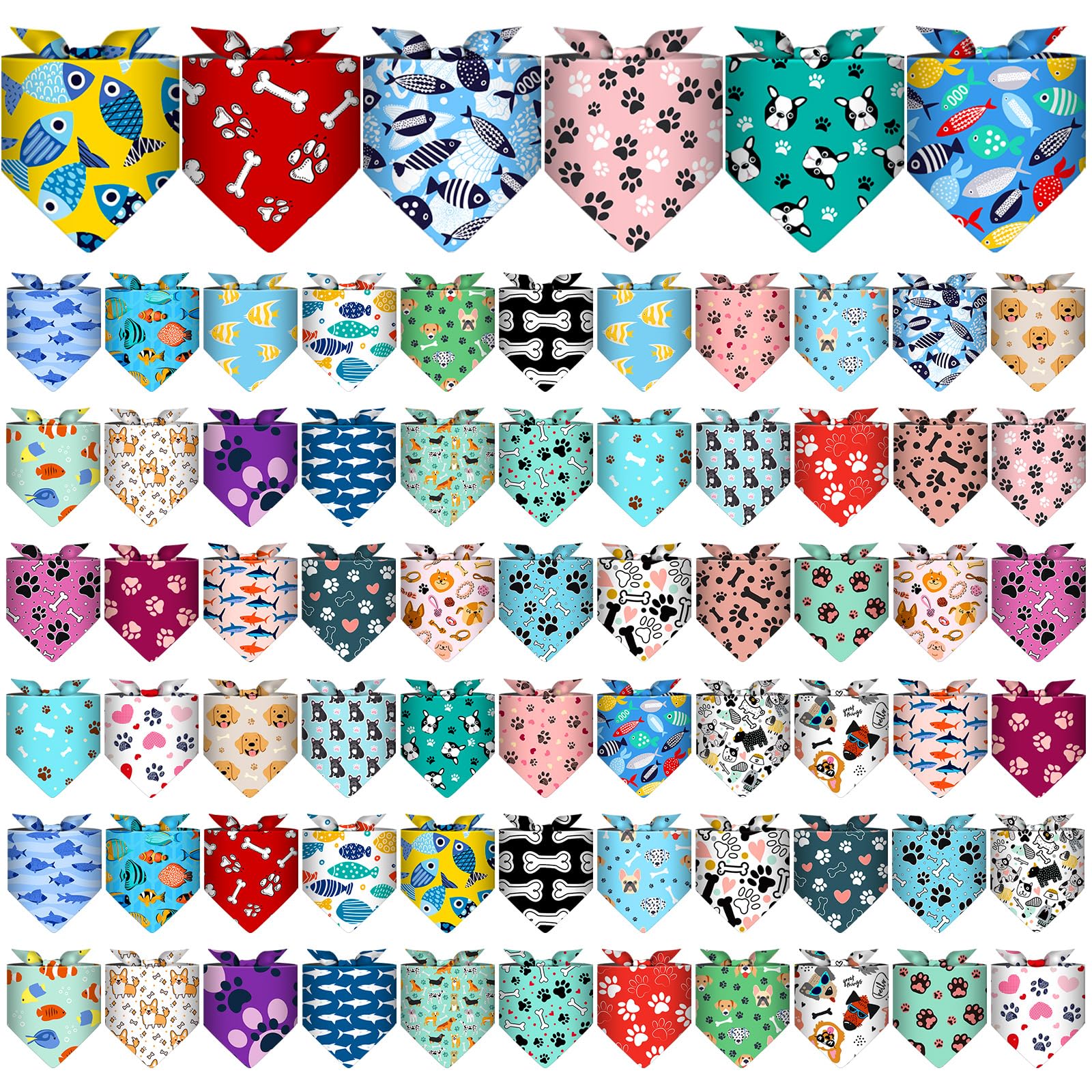 Reginary face packaging avant montrant le lot et la diversité des motifs, pratique