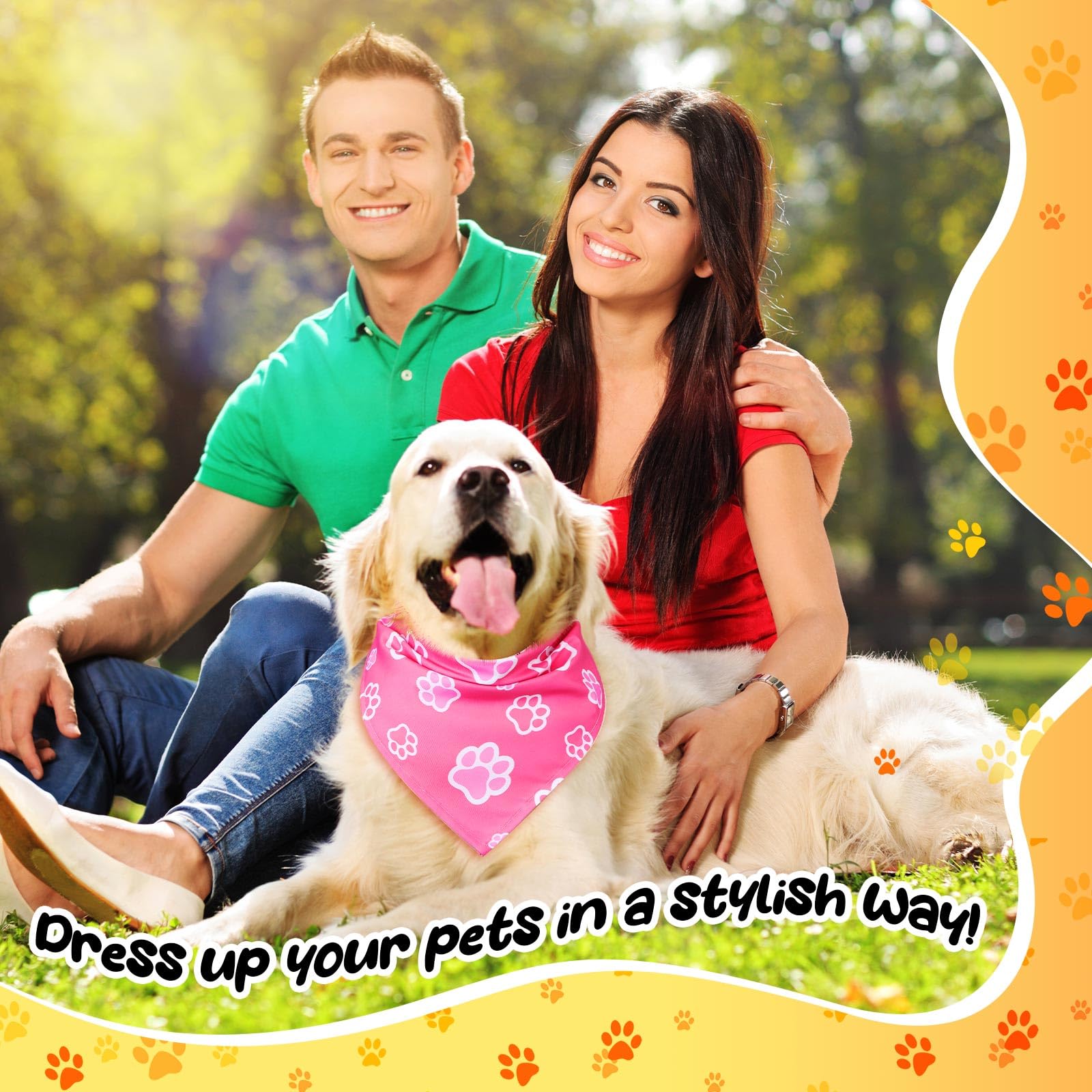 Reginary scène de fête avec chiens portant bandanas colorés pour une ambiance festive et photo réussie