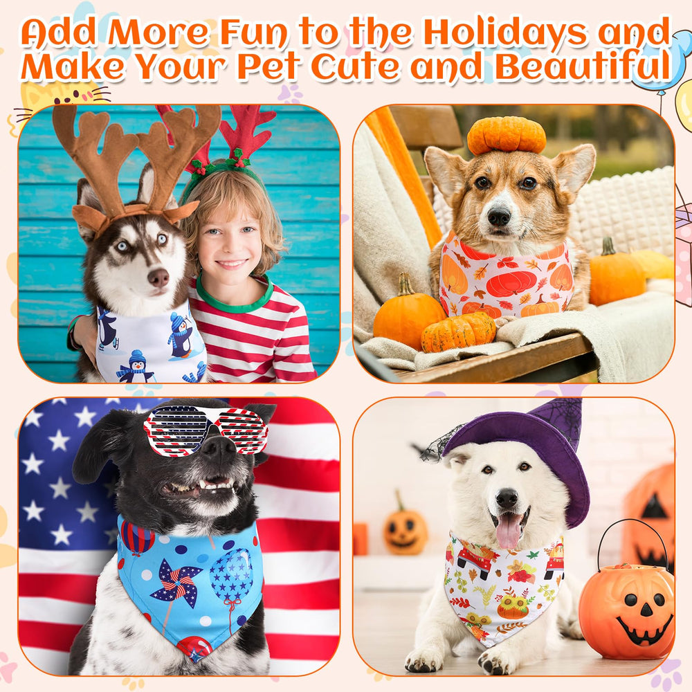 Reginary mise en scène festive montrant bandanas pour photos d'événement
