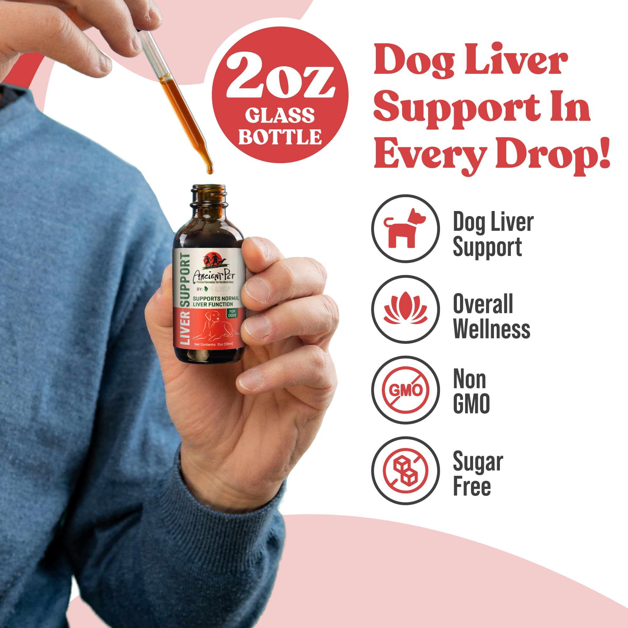 Rejuvica Health chien recevant dose illustre facilité d'utilisation et bon goût apprécié