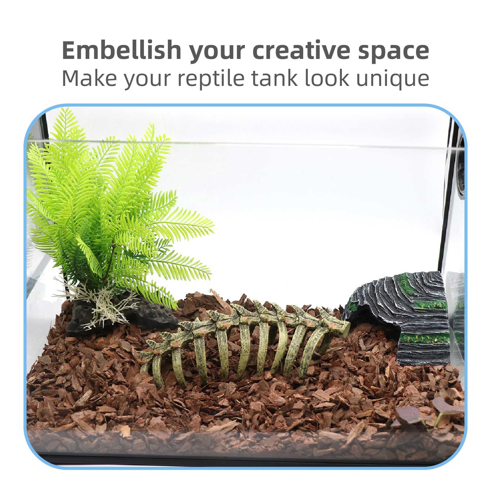 relaqcc crâne dans aquarium avec betta offre refuge discret