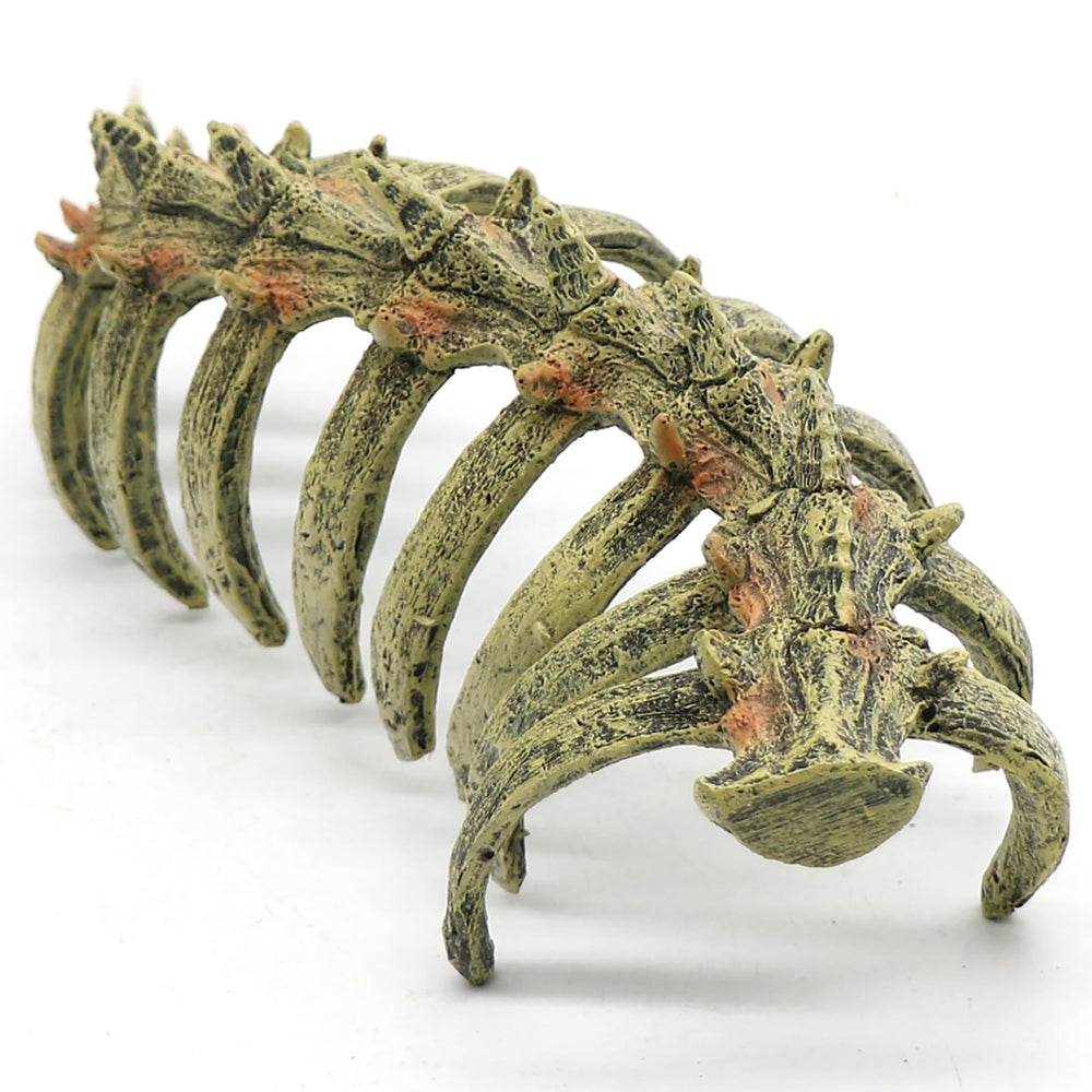 relaqcc crâne face montre cachette sûre pour poissons