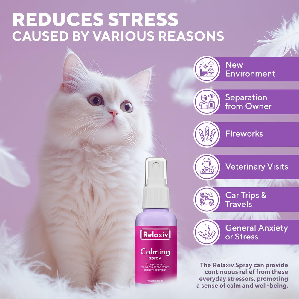 Relaxivet buse et texture du spray pour application précise et sûre