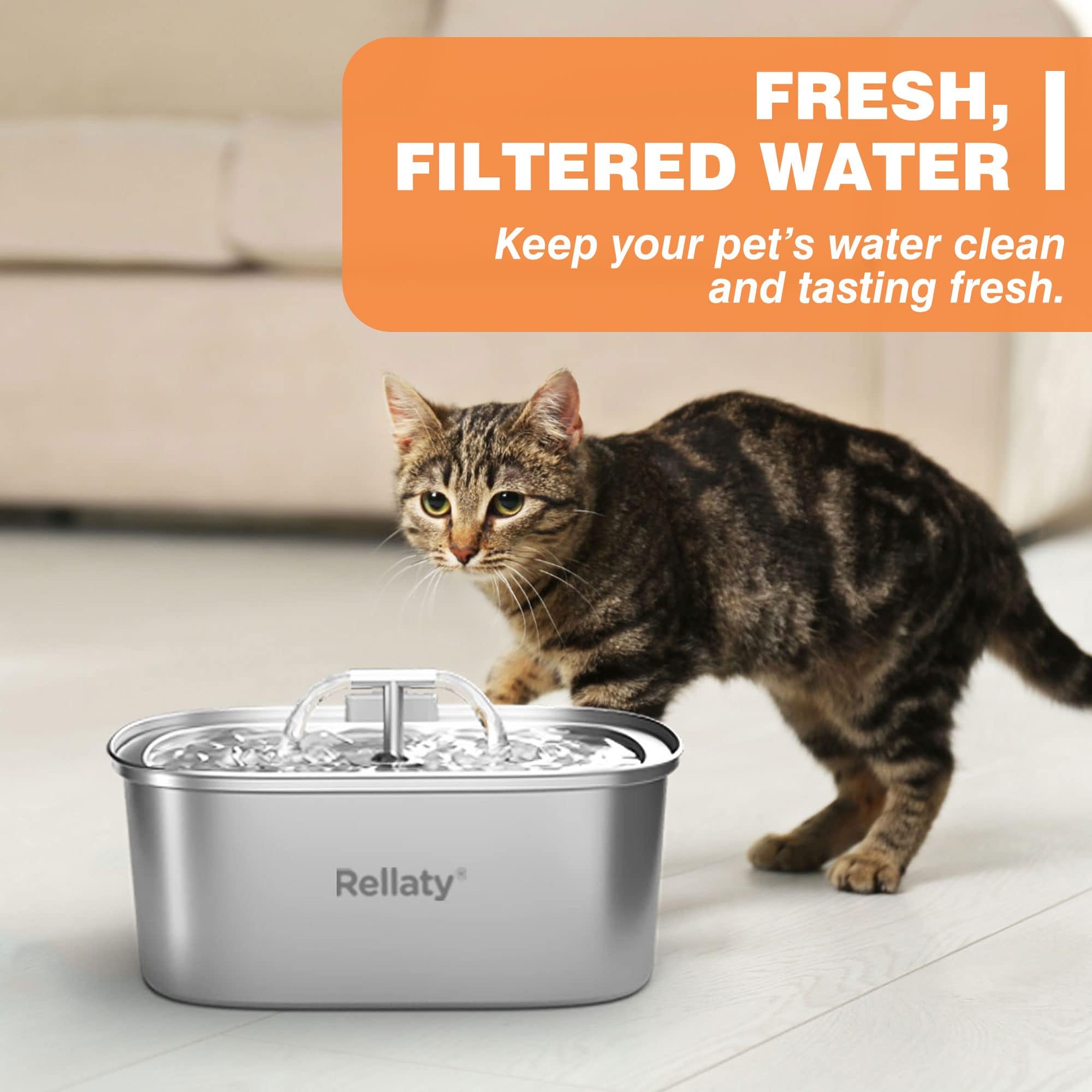 Rellaty fontaine en cuisine avec filtre en place, hydratation facilitée